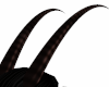 Gemsbok Horns