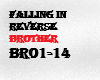 brother