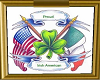 Proud Irish American