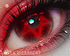 LH Christmas Eyes IV
