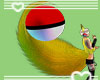Pikachu's tail