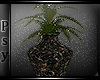 `P Floor Plant Inf