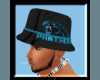 Panthers Hat