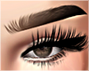 I│Fazya Brows Shaded