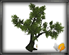 (ED1)Summer-tree-4