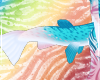 SalmonKitty-TailV1