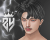 𝔃𝔂" Terdy Hair