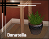 :D::NOVA:Plants2