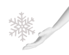 Left Hand Snowflake