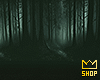 Ancient Forest 📷 PR