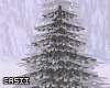 Winter Tree