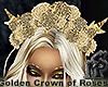 Golden Crown of Roses F