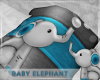 BABY ELEPHANT BLANKET