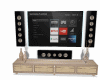Audio TV Systeme