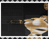 Z; Dinkie Tail V3