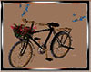 Couple Romantic Bike