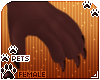 [Pets] Ginga | claws