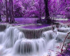 Purple water background