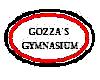 Gozzas Gym Vest