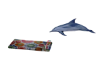 UW Animated Fun Dolphin