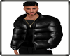 D2BB Puffer Jacket 231