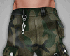 Military Camo Cargos