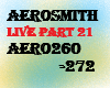 Aerosmith live21