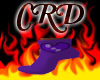 ~CRD~ K & N Socks