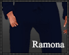 Navy Pants