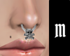M. Septum