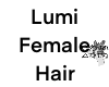 Lumi Female Hair 1 Pony
