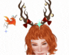 vs reindeer
