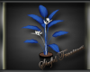:ST: Blue Plant