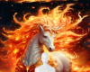 Fire horse bg