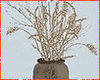 Dried Plant & Vase