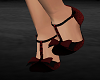 Dancer's Shoe