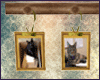 [A!] Cats Frame