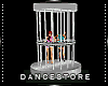 *Dance Cage Duo /S