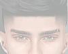 Iconic Head