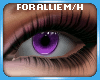 Allie eyes - Purple