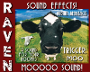 MOO COW SOUND!