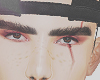 Icarus brows