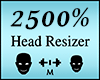 Head Scaler 2500%