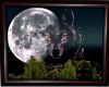 framed wolf art