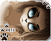 [Pets] Kimi | Lacey