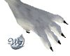 Gray Wolf Paws M