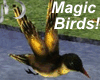 )o( Magic Golden Birds