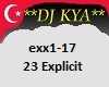 exx1-17
