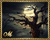 MACABRE MOON  BG F/M