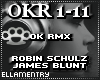 OK Rmx-Robin S/James B